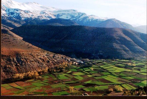 Riad La Fibule Berbere Tabant Esterno foto