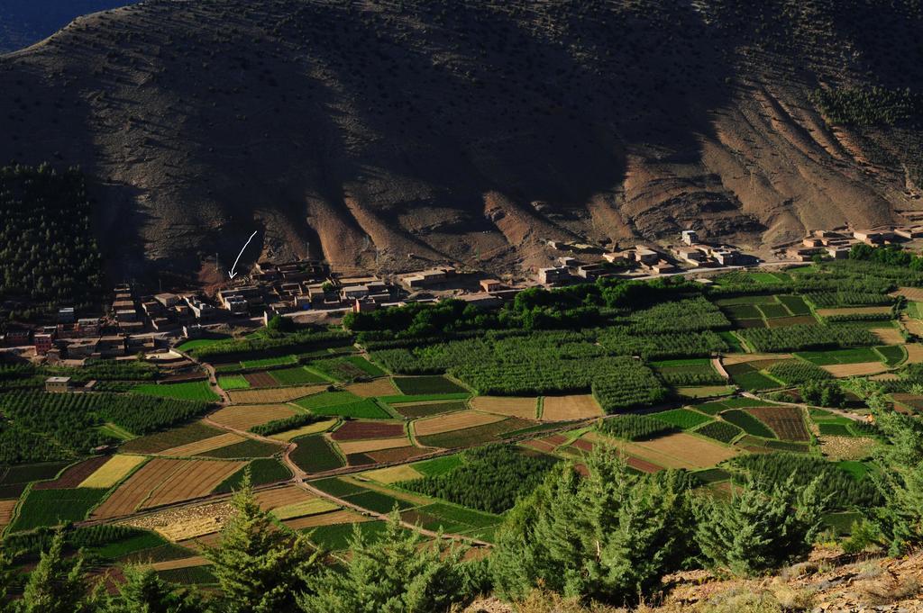 Riad La Fibule Berbere Tabant Esterno foto