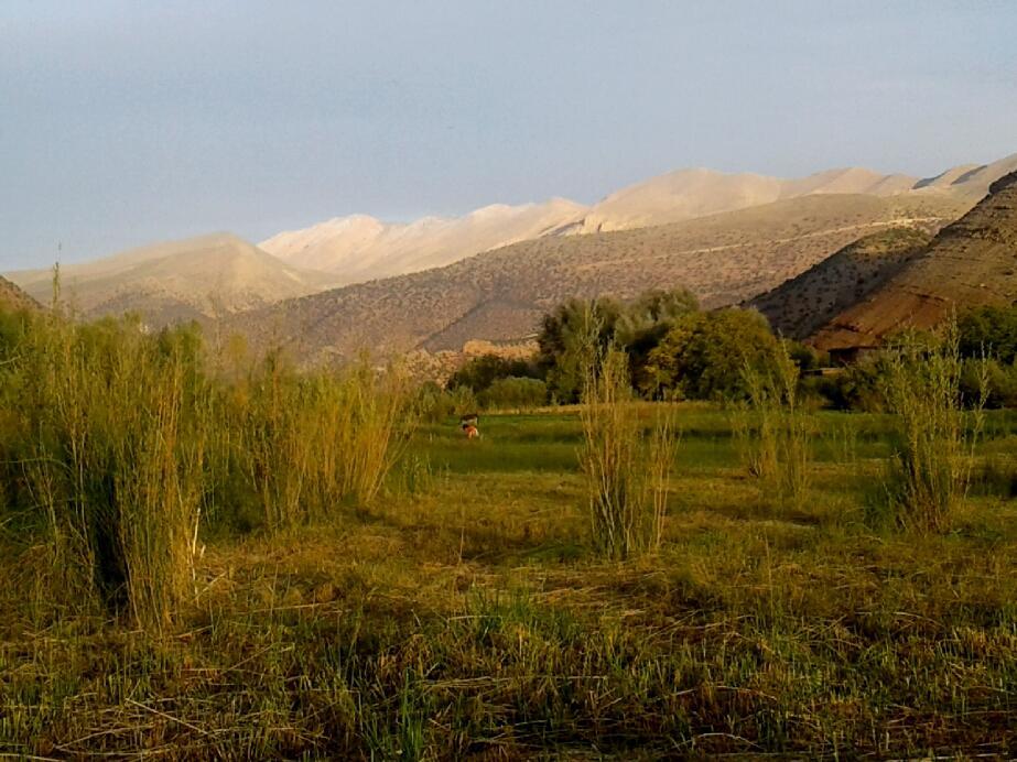 Riad La Fibule Berbere Tabant Esterno foto